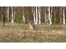 ��-�-�-��!