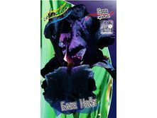 91,55���. ���� ���������� ���� ����(�������� ���� �� 2 ��., ����������� ����� 1��.).jpg