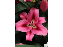 47,78���. ����� ��������(�������� ���� �� 5 ��., ����������� ����� 1��.).jpg