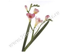 3760169244598 ������ ������������� ������, 60�� 144 269,1.jpg