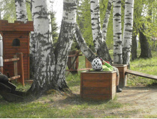 ����� ���