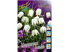 16,62���. ����������� ��������� �����(��� 10 ��. ���������� ������ 5��.).jpg