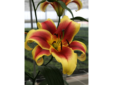 32,14���. ����� ������(��� 5 ��. ���������� ������ 2 ��� 3 ��.).jpg