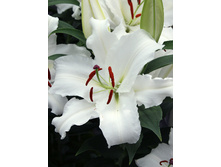 27,1���. ����� ������(��� 5 ��. ���������� ������ 2 ��� 3 ��.)���16.jpg