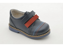 1186.������ ���� ORTO.jpg