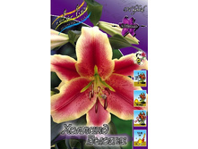 29,8���. ����� ������� �����(��� 5 ��. ���������� ������ 2 ��� 3 ��.).jpg