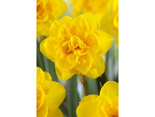 26,68���. ������� �������(��� 5 ��. ���������� ������ 2 ��� 3 ��.)���16.jpg