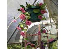 ����� ������� ���� .....