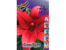 20,9���. ����� ��������(��� 7 ��. ���������� ������ 3 ��� 4 ��.).jpg