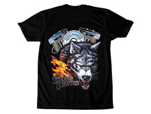 ���� ����� 2.jpg