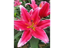 38,8���. ����� ����� �����(��� 5 ��. ���������� ������ 2 ��� 3 ��.).jpg