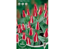 ������� ��������.jpg