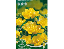 ������ �������� ������.jpg