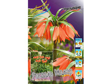 181,45���. ����������� ������� �����(�������� ���� �� 2 ��., ����������� ����� 1��.)���15.jpg