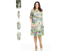 ������ 2584