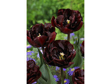 25,05���. ������� ��������(��� 10 ��. ���������� ������ 5��.)���15.jpg