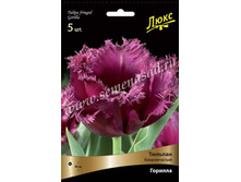 ������� �������.jpg