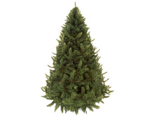 ������ ����� ���������� ��� �������