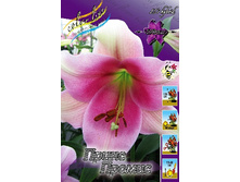 34,3���. ����� ����� ������(��� 5 ��. ���������� ������ 2 ��� 3 ��.).jpg