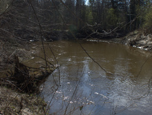 IMG 6705.jpg