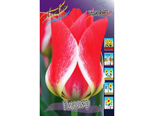 15,69���. ������� ������(��� 10 ��. ���������� ������ 5��.).jpg