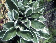 IMG 20160528 121810.jpg