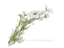 3661864013000 ������ ������������� ������, 86�� 96 379,5.jpg