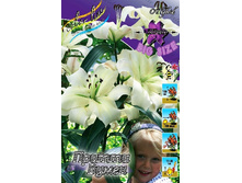 31,7���. ����� ������ �����(��� 7 ��. ���������� ������ 3 ��� 4 ��.).jpg