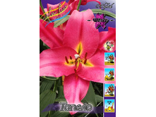 44,2���. ����� ������(�������� ���� �� 5 ��., ����������� ����� 1��.).jpg