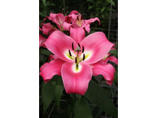 51,38���. ����� �������(�������� ���� �� 5 ��., ����������� ����� 1��.)���15.jpg