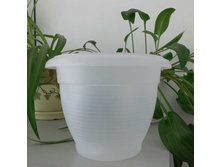 ������ ����� ����������