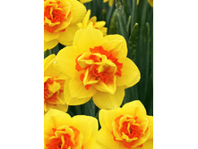 55,72���. ������� ������ ����(�������� ���� �� 5 ��., ����������� ����� 1��.)���16.jpg