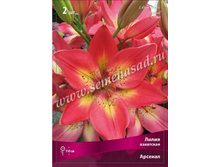 ����� �������.jpg