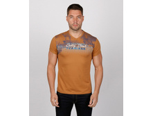 TLN 4034. ���� 575 ���.