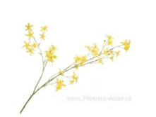 3661864017367 ����� ������������� ����������, 74�� 144 288,65.jpg