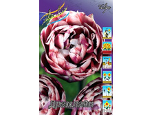 31,61���. ������� ��������(��� 10 ��. ���������� ������ 5��.).jpg