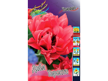 24,11���. ������� ���� �������(��� 10 ��. ���������� ������ 5��.).jpg