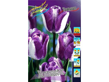 17,56���. ������� ��������(��� 10 ��. ���������� ������ 5��.).jpg