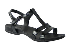 509 ������