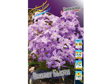 8,19���. ���������� ������ �����(���������� ������ ������ ���������� �� 10 ��.)���15.jpg