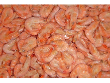 ����������� �������� ������-��������� � ������� ������ 50-70.jpg