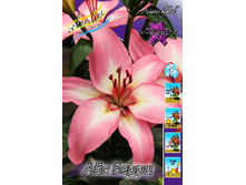 26,2���. ����� ��� �����(��� 5 ��. ���������� ������ 2 ��� 3 ��.).jpg