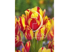 30,03���. ������� ������ ����(��� 7 ��. ���������� ������ 3 ��� 4 ��.)���16.jpg