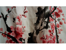 IMG 20160524 203903.jpg