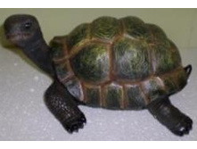 ������ �������� ������� ������� MG27310---01