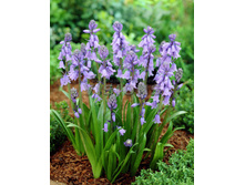 10,63���. ������������ �����(���������� ������ ������ ���������� �� 10 ��.)���16.jpg