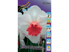 554e75a56f2be 1656rub. nartsiss kul fleymryad 10 sht. zakazyvaem kratno 5sht..jpg