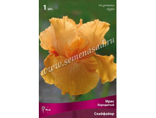 ���� ��������� ���������.jpg