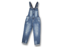 �iris ��-1802 1.jpg