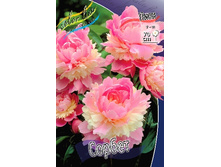 250,7���. ���� ������(�������� ���� �� 1 ��., ����������� ����� 1��.).jpg